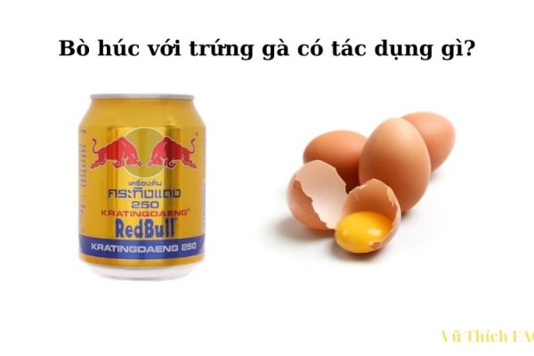 Uống bò húc với trứng gà có tác dụng gì? có nguy hiểm không?