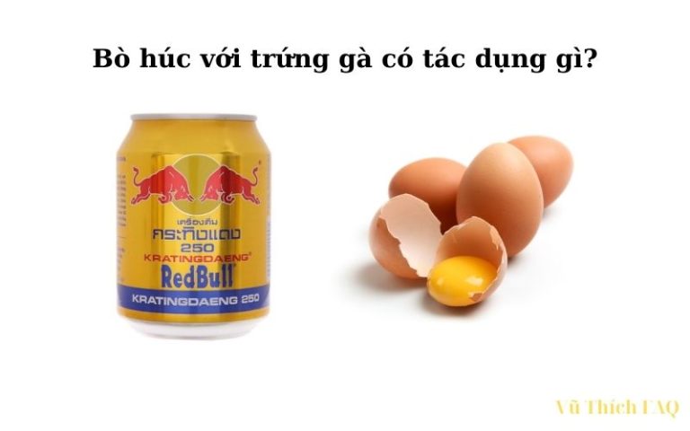 Uống bò húc với trứng gà có tác dụng gì? có nguy hiểm không?
