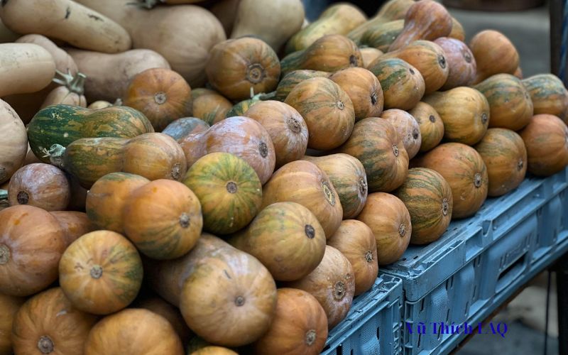 Bầu với bí đao nấu chung được không? Gợi ý 3 món ngon bất bại