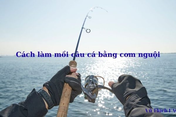 Cách làm mồi câu cá bằng cơm nguội cực dễ cực nhạy cá