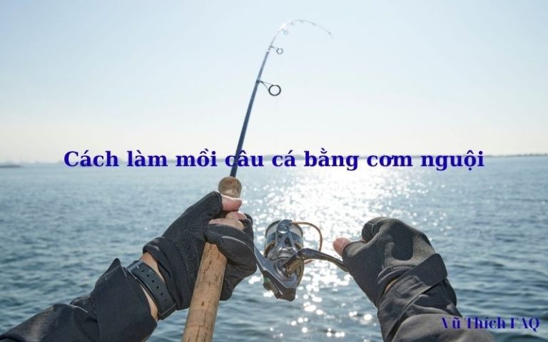 Cách làm mồi câu cá bằng cơm nguội cực dễ cực nhạy cá