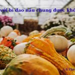 Bầu với bí đao nấu chung được không? Gợi ý 3 món ngon bất bại Bầu với bí đao nấu chung được không? Gợi ý 3 món ngon bất bại