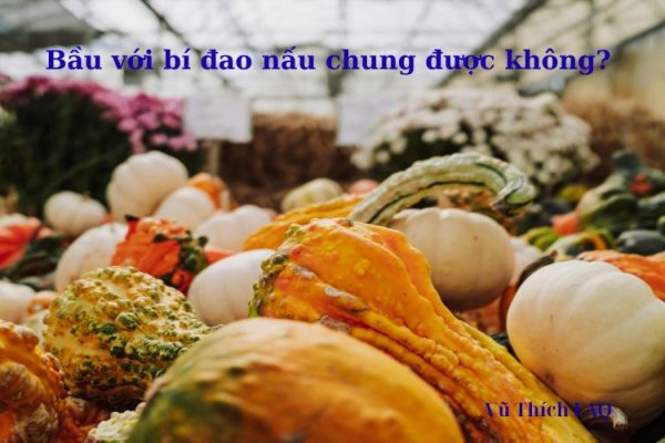 Bầu với bí đao nấu chung được không? Gợi ý 3 món ngon bất bại Bầu với bí đao nấu chung được không? Gợi ý 3 món ngon bất bại