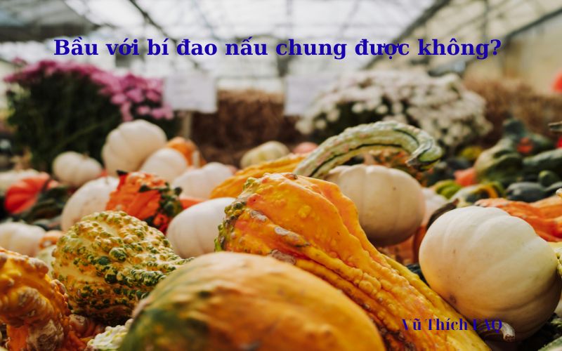 Bầu với bí đao nấu chung được không? Gợi ý 3 món ngon bất bại