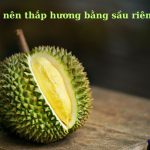 Thắp hương bằng quả sầu riêng có được không? tại sao không nên?