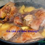 Gà tần có béo không? Bao nhiêu calo? Cách nấu cho bà bầu? Gà tần có béo không? Bao nhiêu calo? Cách nấu cho bà bầu?