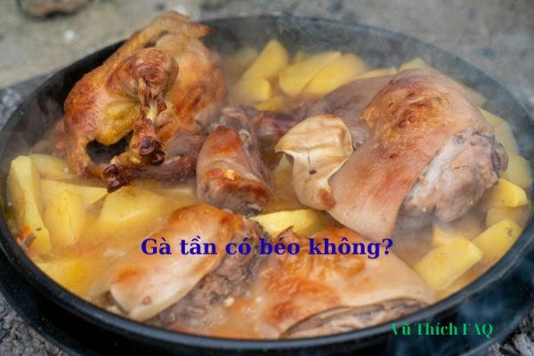 Gà tần có béo không? Bao nhiêu calo? Cách nấu cho bà bầu? Gà tần có béo không? Bao nhiêu calo? Cách nấu cho bà bầu?