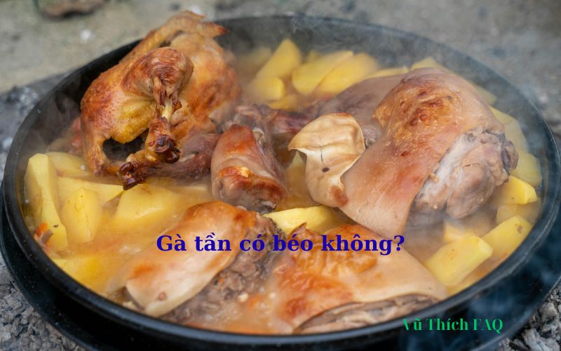 Gà tần có béo không? Bao nhiêu calo? Cách nấu cho bà bầu?