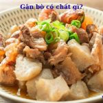 Gân bò có chất gì? có tốt không? có tác dụng gì?