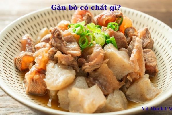 Gân bò có chất gì? có tốt không? có tác dụng gì?