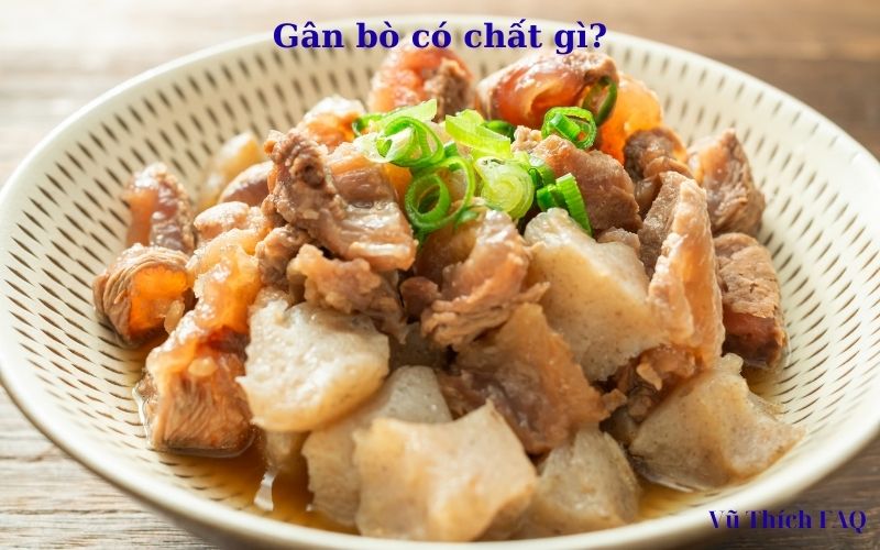 Gân bò có chất gì? có tốt không? có tác dụng gì?