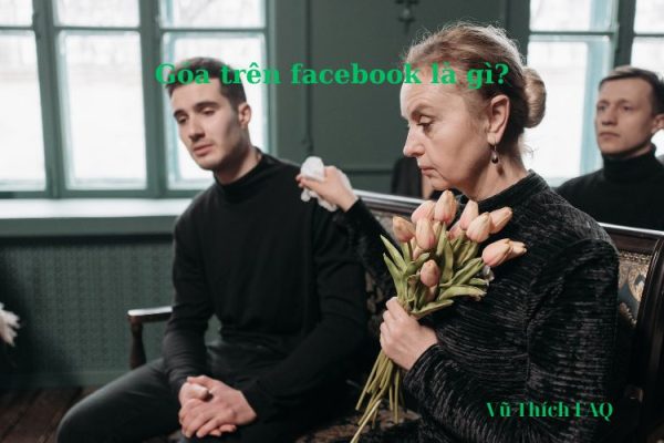 Góa trên Facebook có nghĩa là gì? Góa trên Facebook có nghĩa là gì?