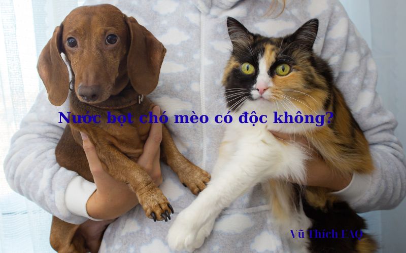 Nước bọt của chó mèo có độc không? Ăn phải có sao không?