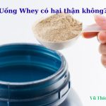 Uống whey có hại thận không? có bị yếu sinh lý không? Uống whey có hại thận không? có bị yếu sinh lý không?