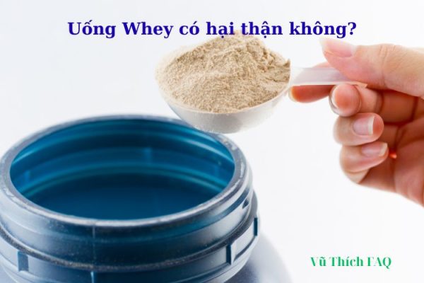 Uống whey có hại thận không? có bị yếu sinh lý không? Uống whey có hại thận không? có bị yếu sinh lý không?