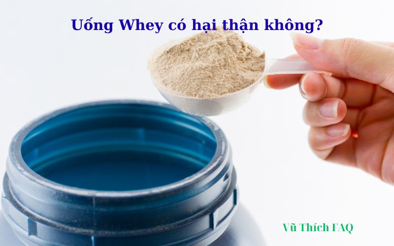 Uống whey có hại thận không? có bị yếu sinh lý không?