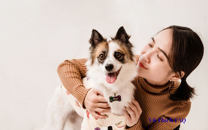 Nước bọt của chó mèo có độc không? Ăn phải có sao không?