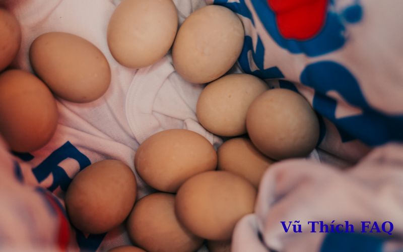 Ăn hột vịt lộn mấy trứng xả xui? hướng dẫn cách ăn đúng chuẩn