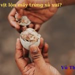Ăn hột vịt lộn mấy trứng xả xui? hướng dẫn cách ăn đúng chuẩn