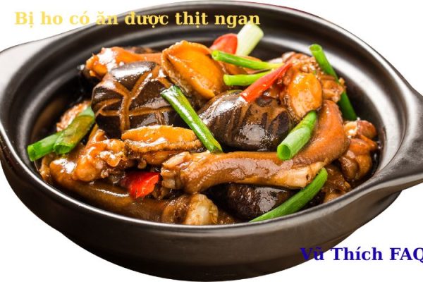 Bị ho có ăn được thịt ngan không? nên ăn gì mau khỏi? Bị ho có ăn được thịt ngan không? nên ăn gì mau khỏi?