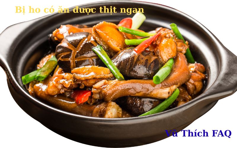 Bị ho có ăn được thịt ngan không? nên ăn gì mau khỏi?