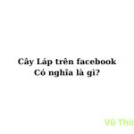 Cây láp trong quần trên facebook, tiktok là gì?