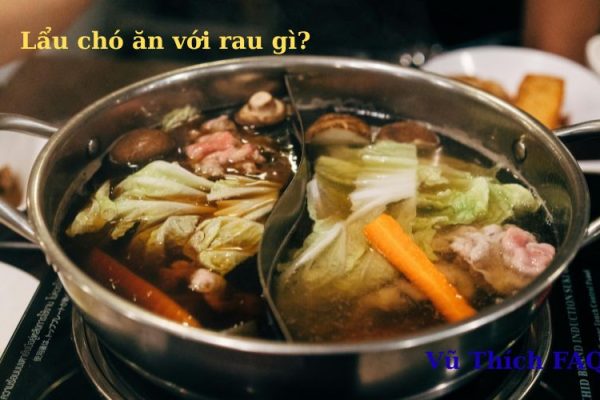 Lẩu chó cần những gì? loại rau gì? gia vị gì?  Lẩu chó cần những gì? loại rau gì? gia vị gì?