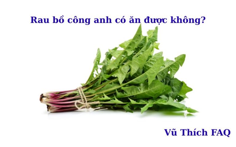Rau bồ công anh có ăn được không? nấu món gì ngon?