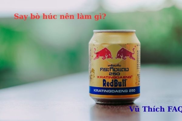 Say bò húc nên làm gì? top 7 cách giải hiệu quả nhất