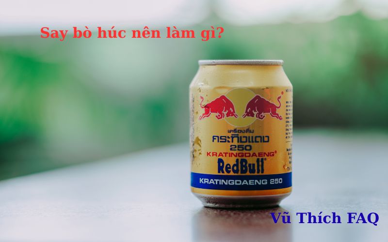 Say bò húc nên làm gì? top 7 cách giải hiệu quả nhất