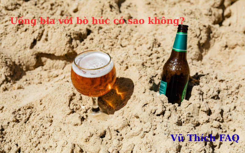 Uống bia với bò húc có sao không? Có nhanh say hơn không?