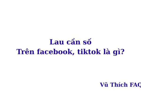 Lau cần số trên facebook, tiktok là gì?