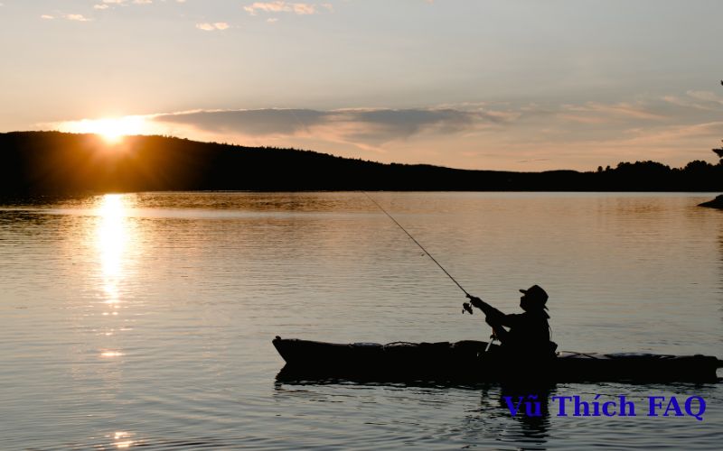 Câu cá có bị tạo nghiệp không? cách hoá giải nghiệp câu cá tại nhà