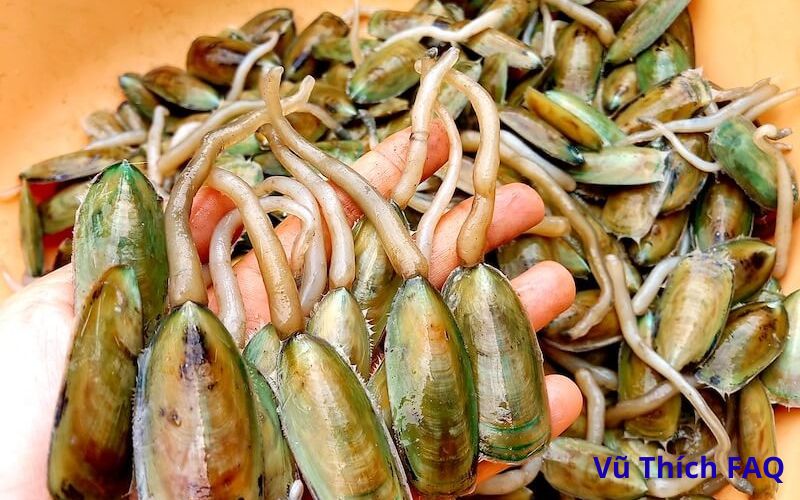 Con giá bể có độc không? Sống ở đâu? Làm món gì ngon?