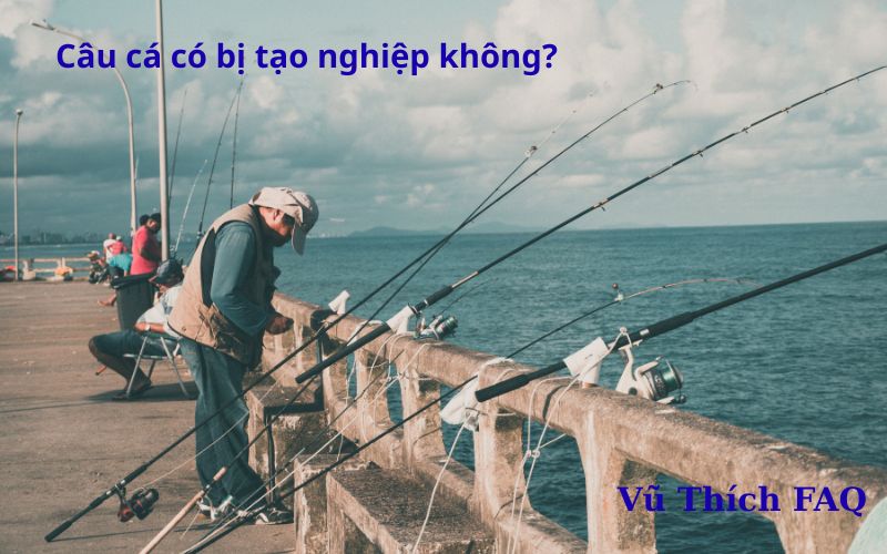 Câu cá có bị tạo nghiệp không? cách hoá giải nghiệp câu cá tại nhà