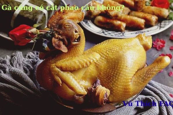 Gà cúng có cắt phao câu không? Có ý nghĩa gì?