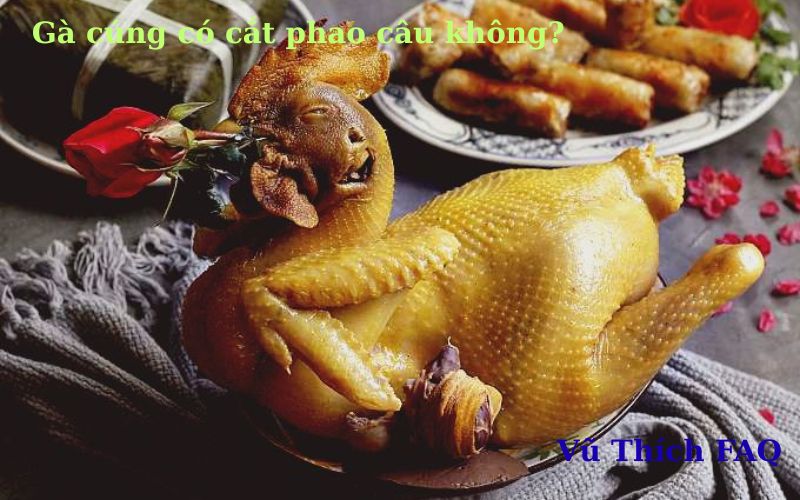 Gà cúng có cắt phao câu không? Có ý nghĩa gì?