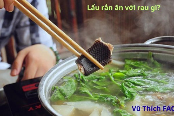 Lẩu rắn ăn với rau gì ngon nhất? cần chuẩn bị những gì?