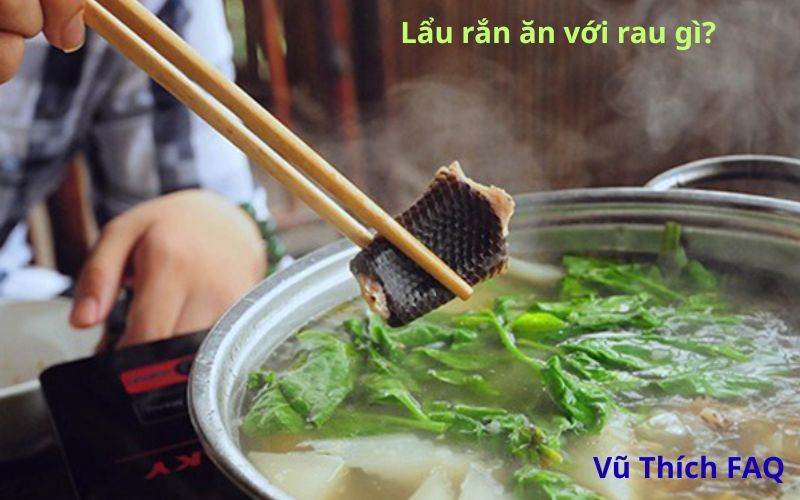 Lẩu rắn ăn với rau gì ngon nhất? cần chuẩn bị những gì?