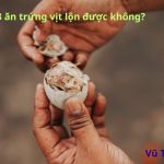 Mùng 3 ăn trứng vịt lộn được không? Ăn mấy trứng thì tốt nhất?