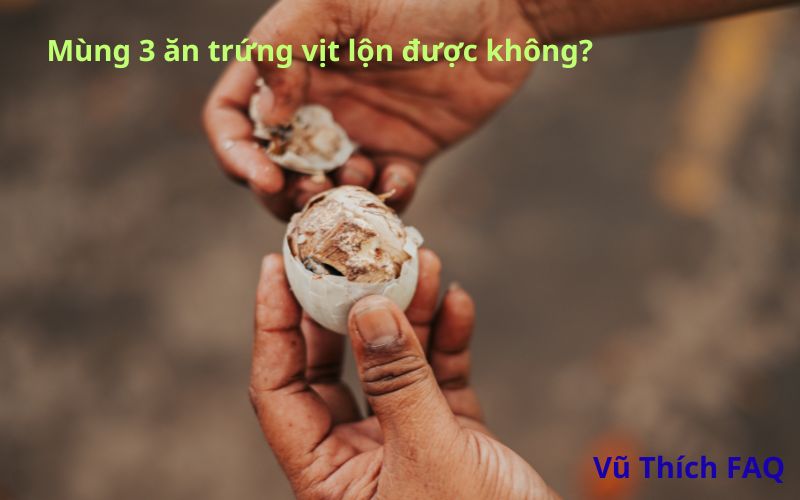 Mùng 3 ăn trứng vịt lộn được không? Ăn mấy trứng thì tốt nhất?