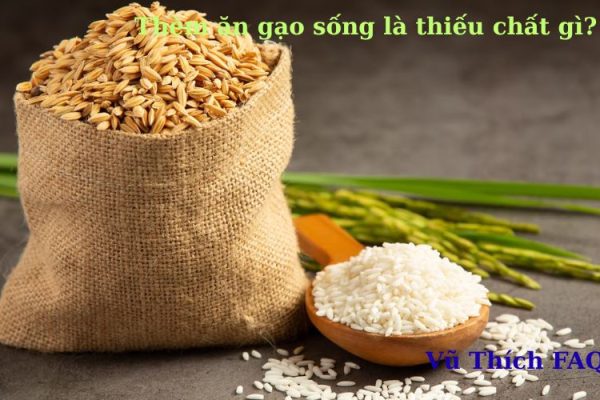 Thèm ăn gạo sống là thiếu chất gì? Có phải bị bệnh không?