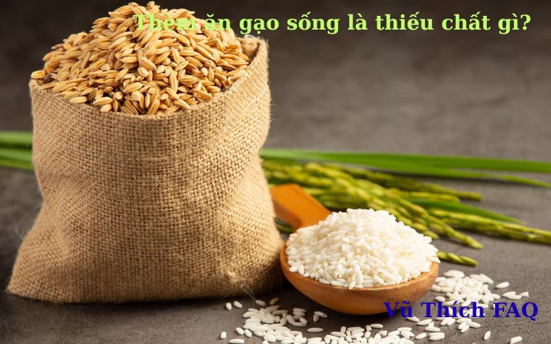 Thèm ăn gạo sống là thiếu chất gì? Có phải bị bệnh không?