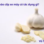 Bỏ tỏi vào cốp xe máy có tác dụng gì? có thực sự mang lại may mắn?