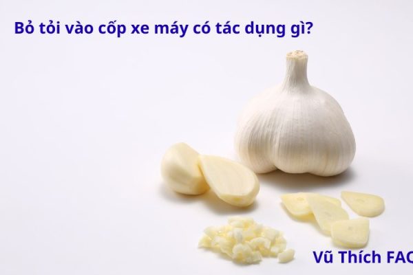 Bỏ tỏi vào cốp xe máy có tác dụng gì? có thực sự mang lại may mắn?