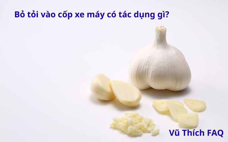 Bỏ tỏi vào cốp xe máy có tác dụng gì? có thực sự mang lại may mắn?