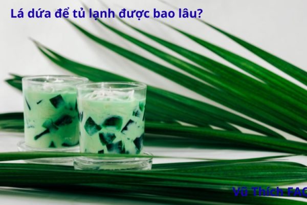Lá dứa để tủ lạnh được bao lâu? cách bảo quản hiệu quả nhất