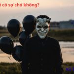 Ma quỷ có sợ chó không? Dấu hiệu chó thấy ma là gì?