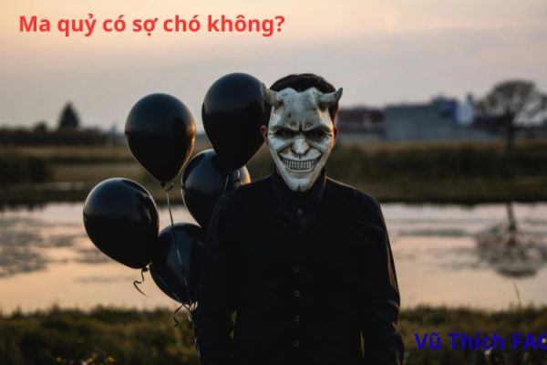 Ma quỷ có sợ chó không? Dấu hiệu chó thấy ma là gì?