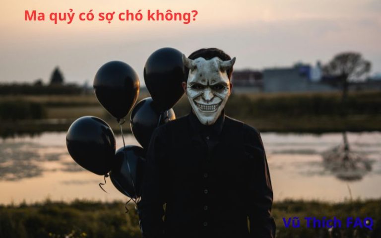 Ma quỷ có sợ chó không? Dấu hiệu chó thấy ma là gì?